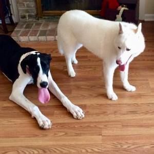 Meet your Posher, Eileen